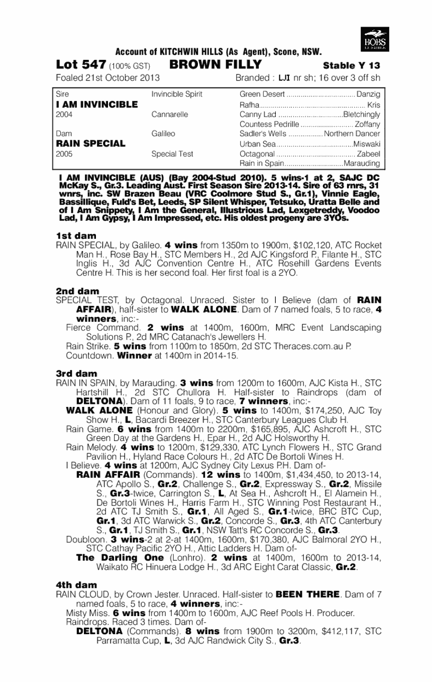 Aellopus (AUS) - pedigree