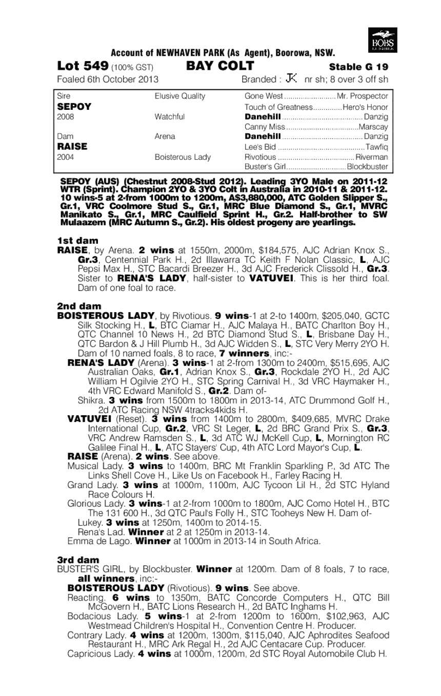 Raise An Army (AUS) - pedigree