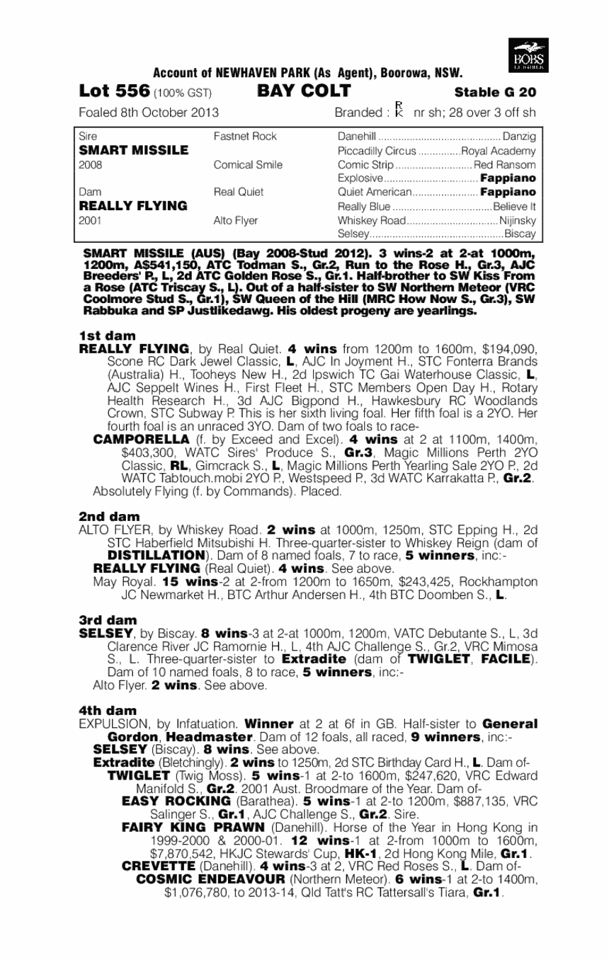 Smart Missile (AUS) / Really Flying (AUS) - pedigree