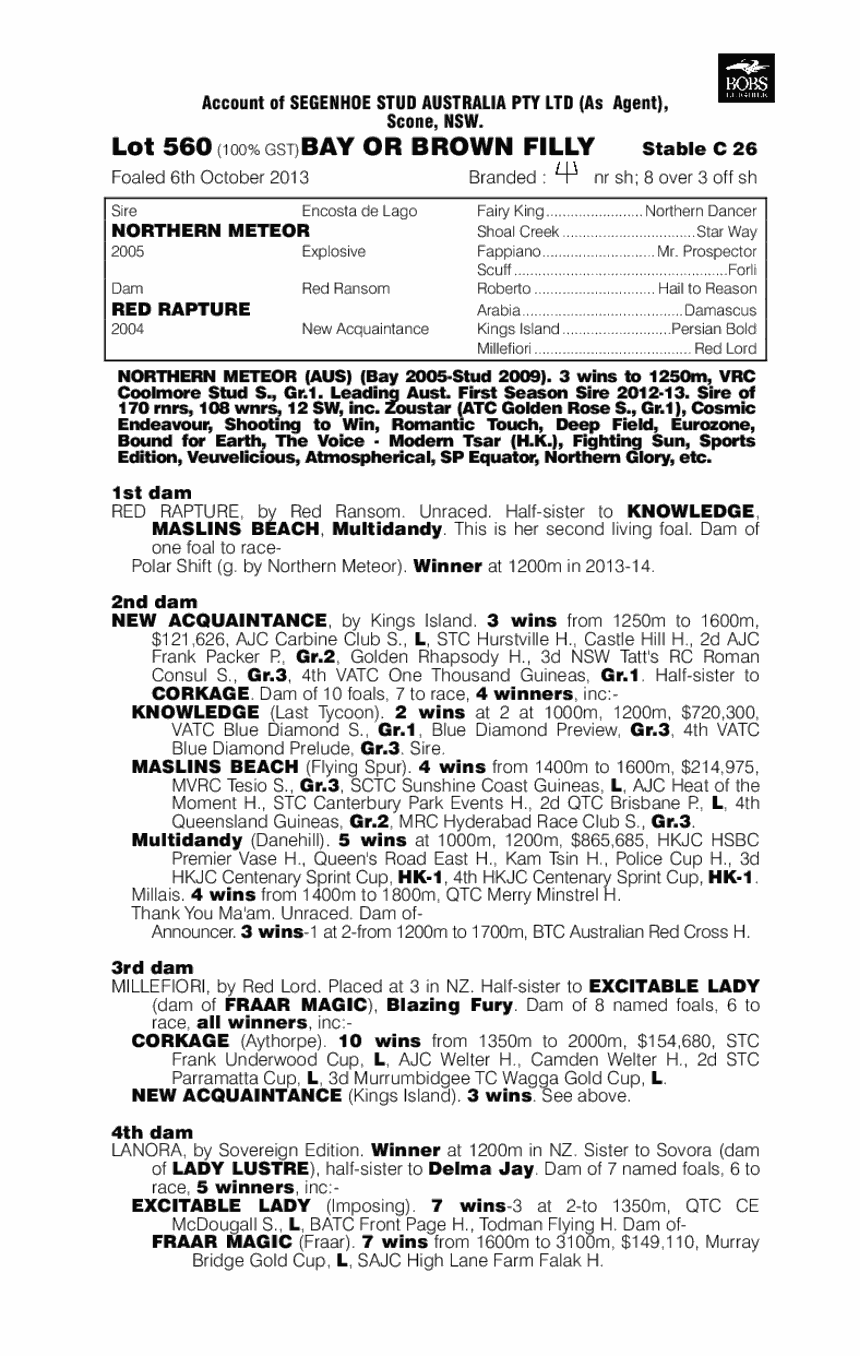 Soho Ruby (AUS) - pedigree