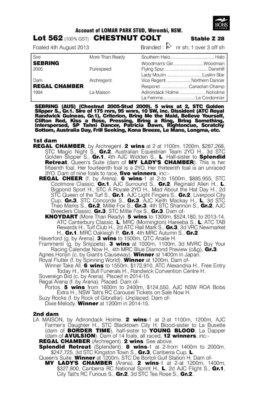 Shadow Of War (AUS) - pedigree