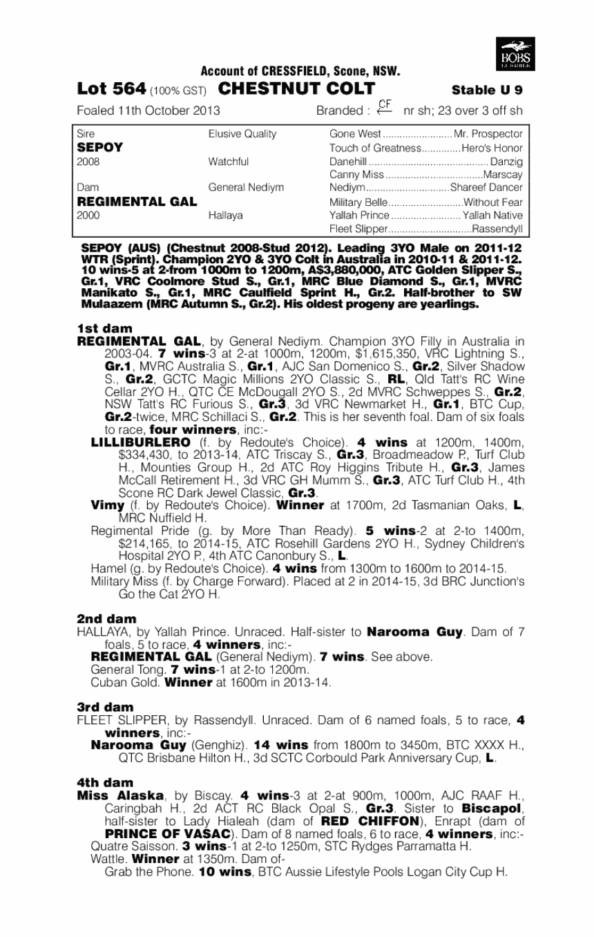 Regimental Force (AUS) - pedigree