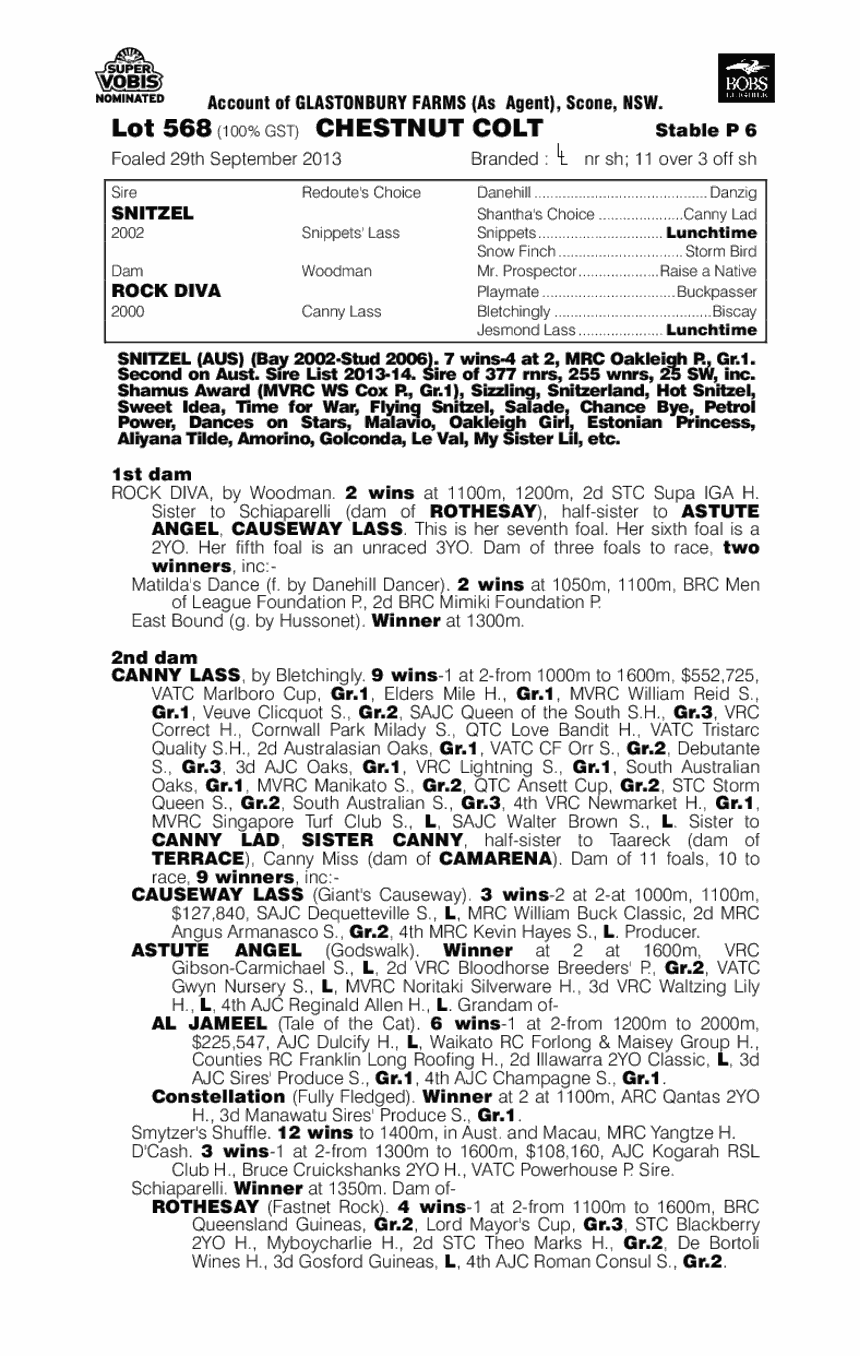 Snitzel (AUS) / Rock Diva (AUS) - pedigree