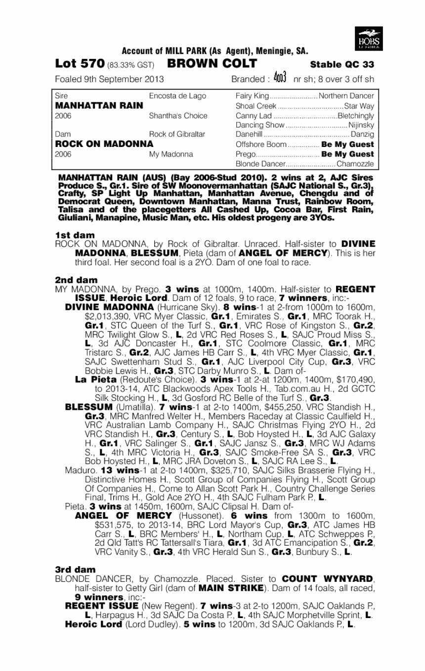 Soho Rock (AUS) - pedigree