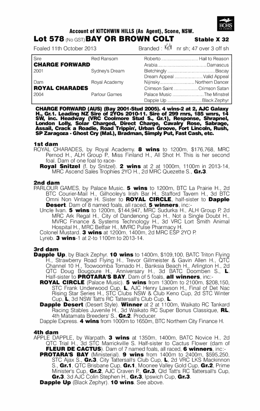 Char Char (AUS) - pedigree