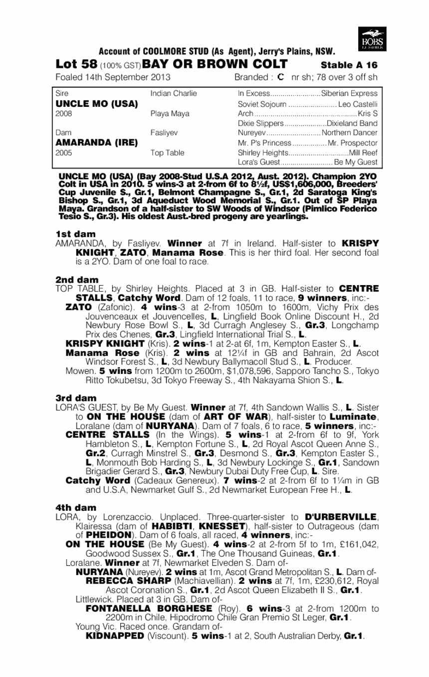 Uncle Mo (USA) / Amaranda (IRE) - pedigree
