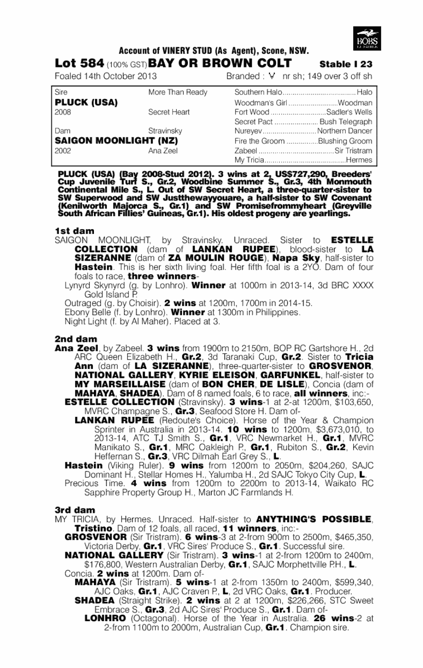 Pluck (USA) / Saigon Moonlight (NZ) - pedigree