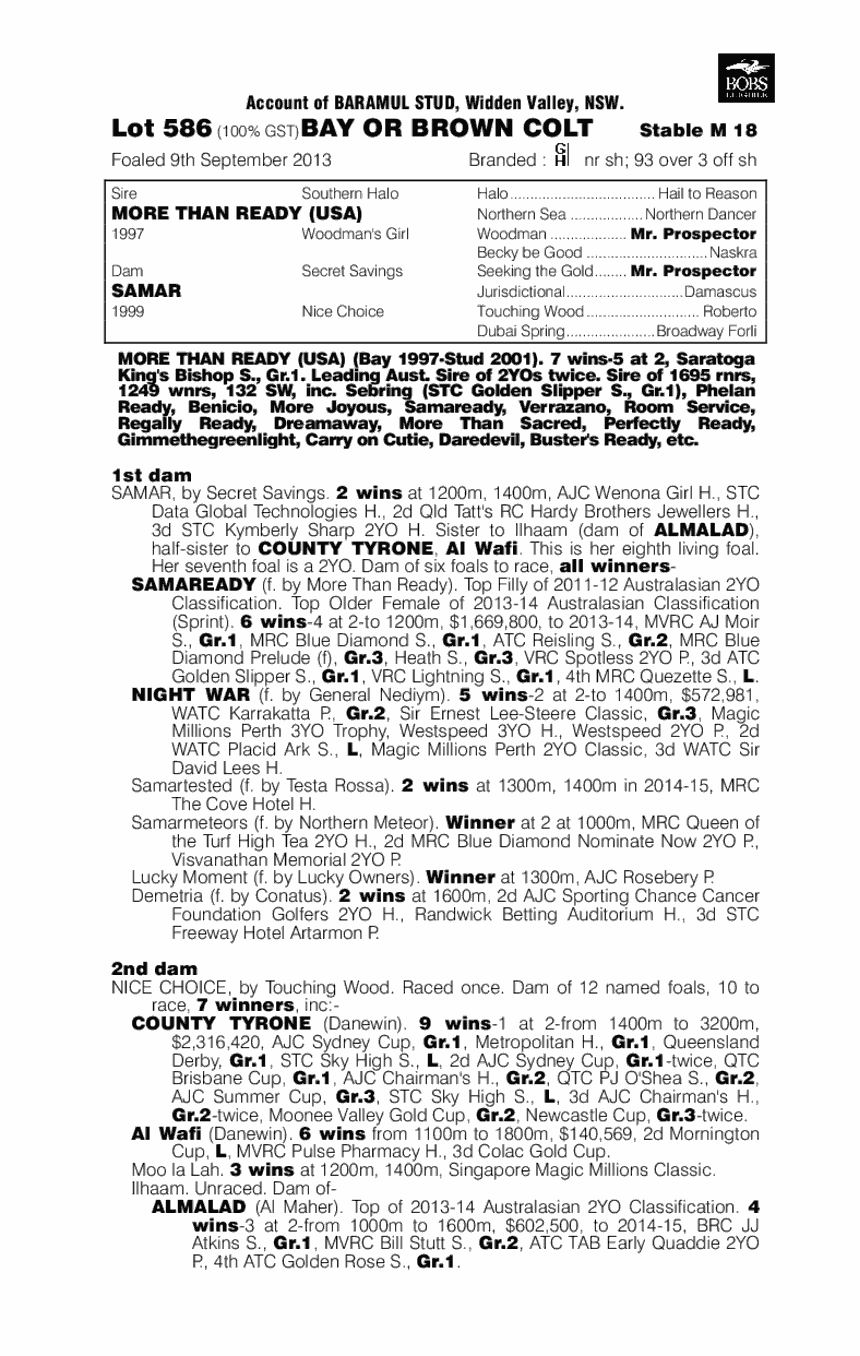 Samar More (AUS) - pedigree