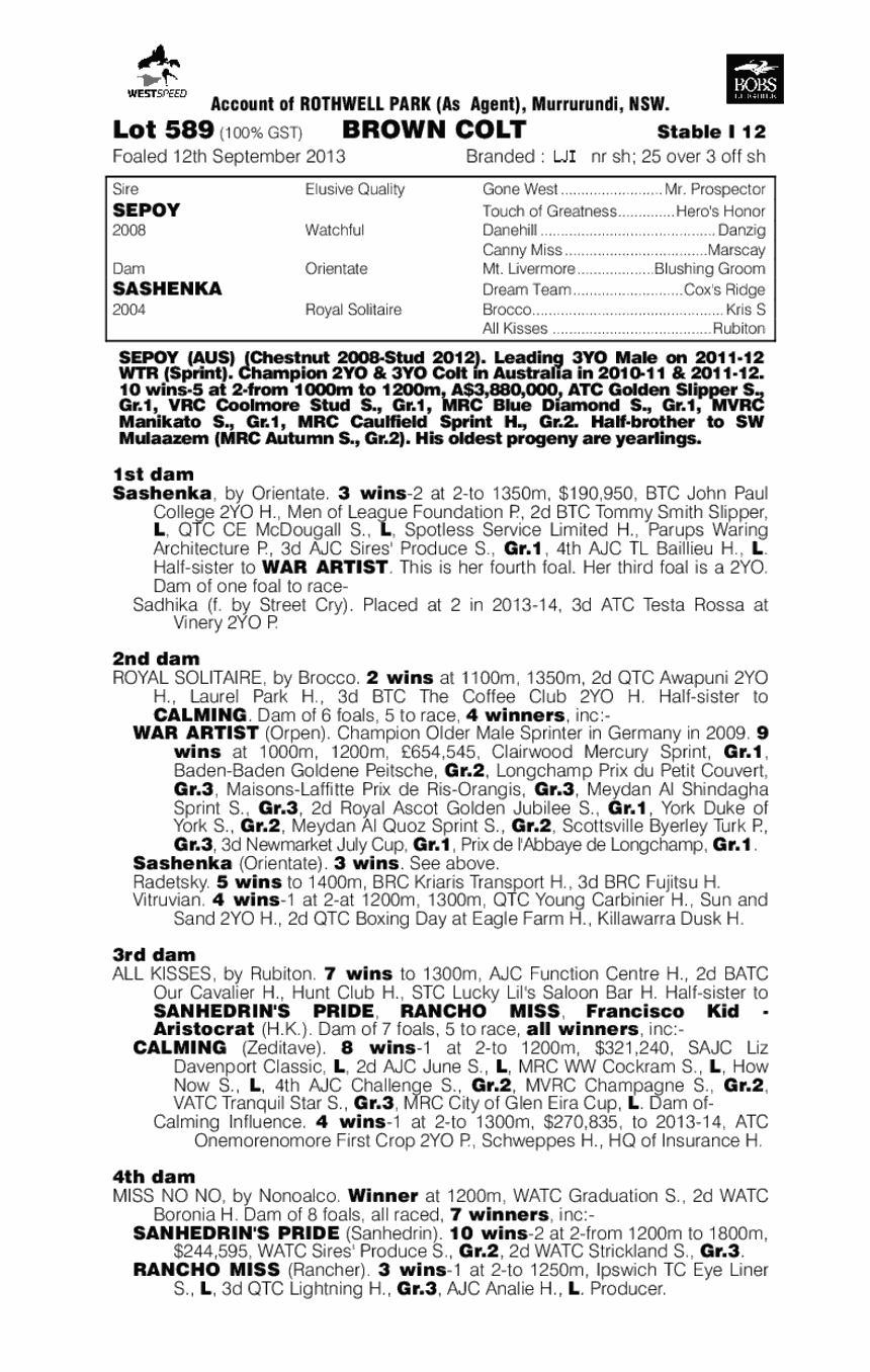 Sepoy (AUS) / Sashenka (AUS) - pedigree