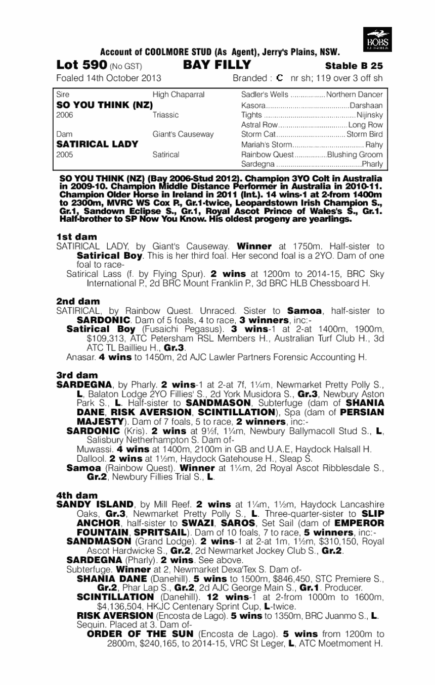 Smart as You Think (AUS) - pedigree