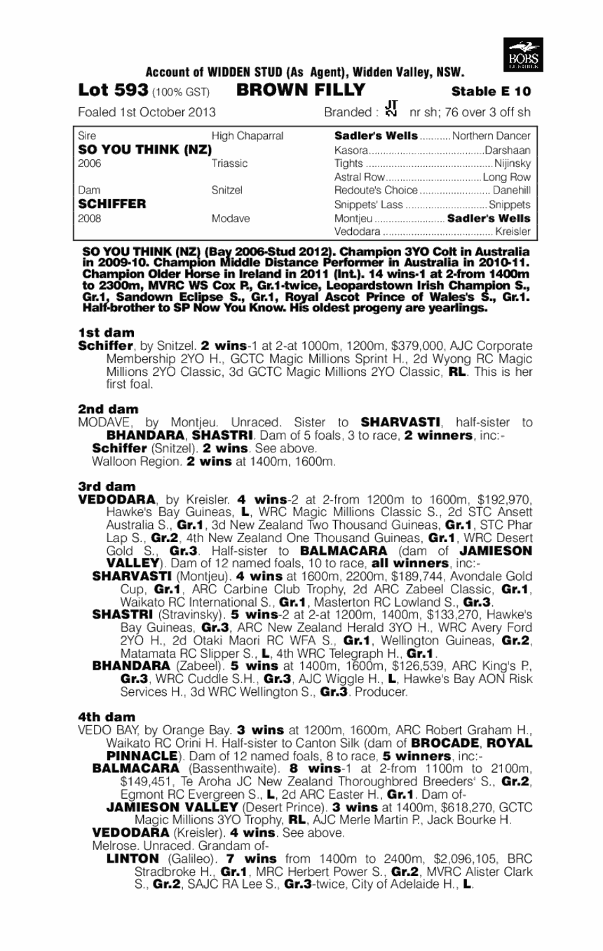 Schifty Thinker (AUS) - pedigree