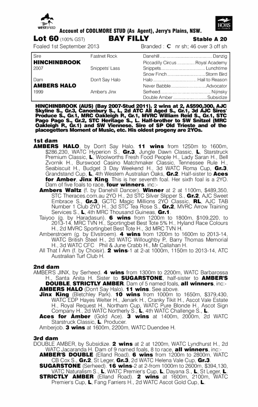 Amber Isle (AUS) - pedigree