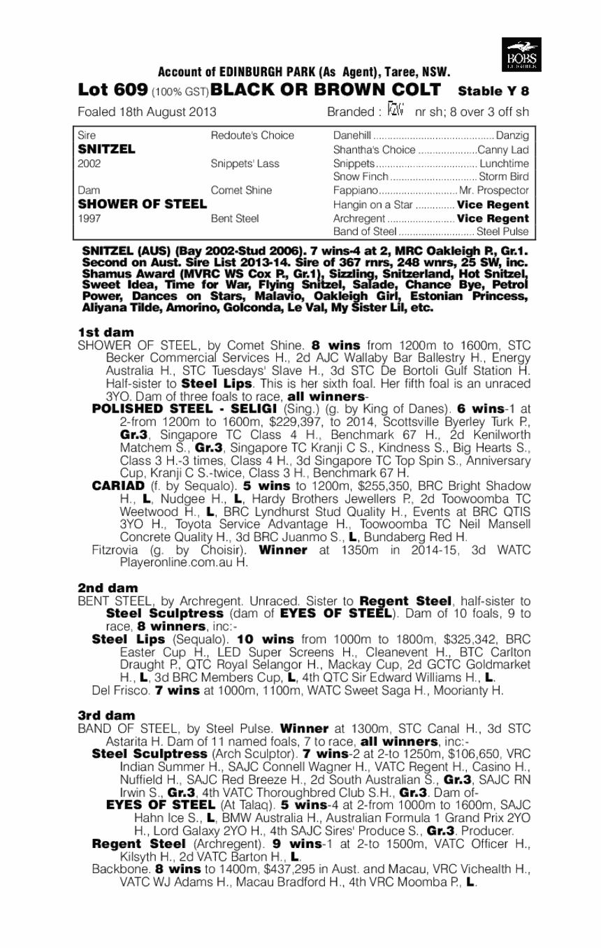 Reinforced (AUS) - pedigree