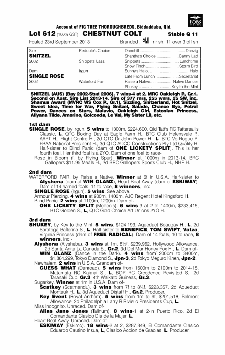 Dortmund (AUS) - pedigree