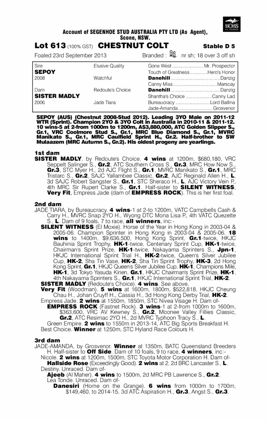 Ready Fire Aim (AUS) - pedigree