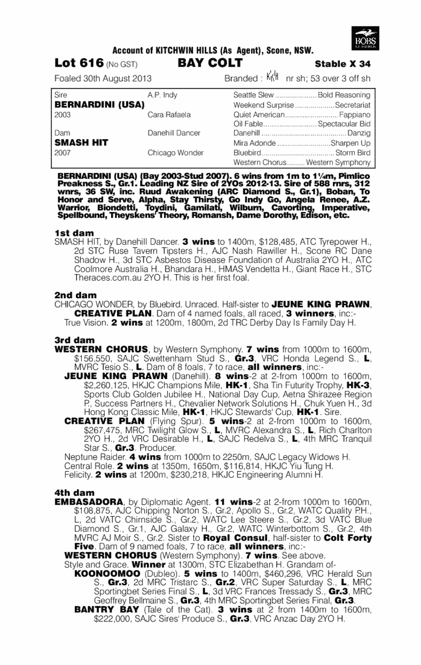 Nazareth (AUS) - pedigree