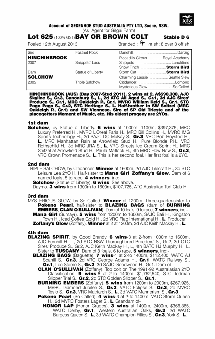 Hinchinbrook (AUS) / Solchow (AUS) - pedigree