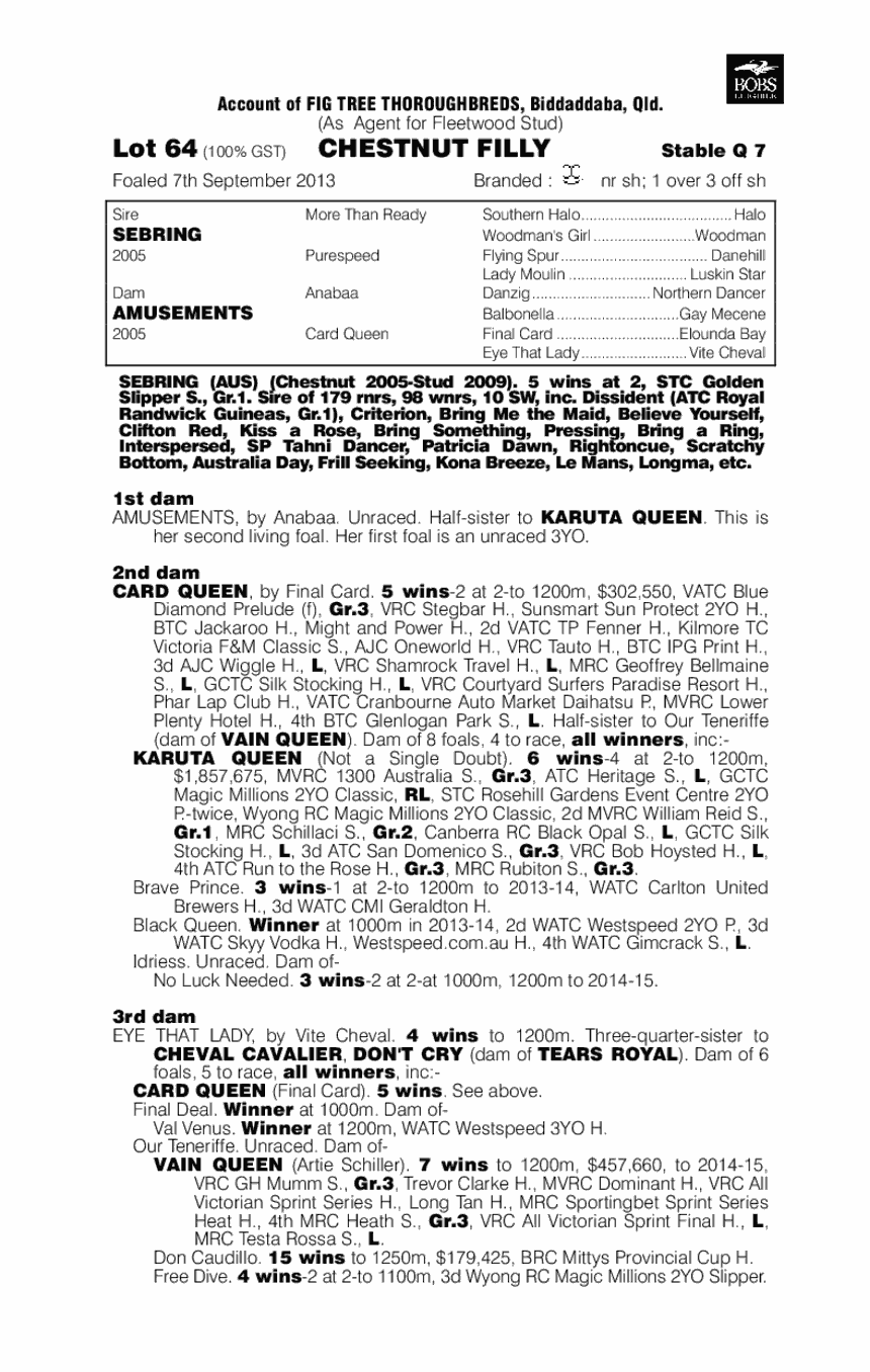 Aurelia (AUS) - pedigree