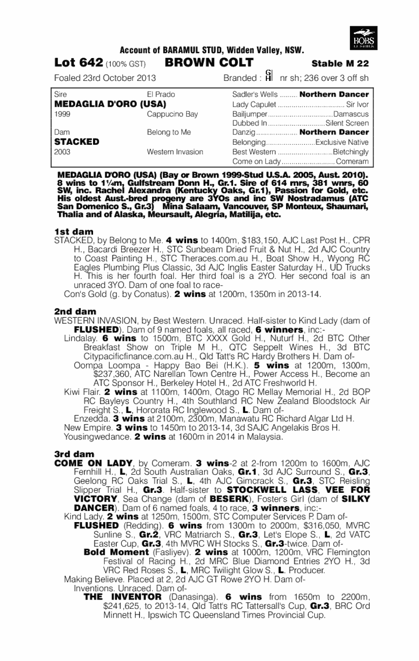 Medaglia d'Oro (USA) / Stacked (AUS) - pedigree