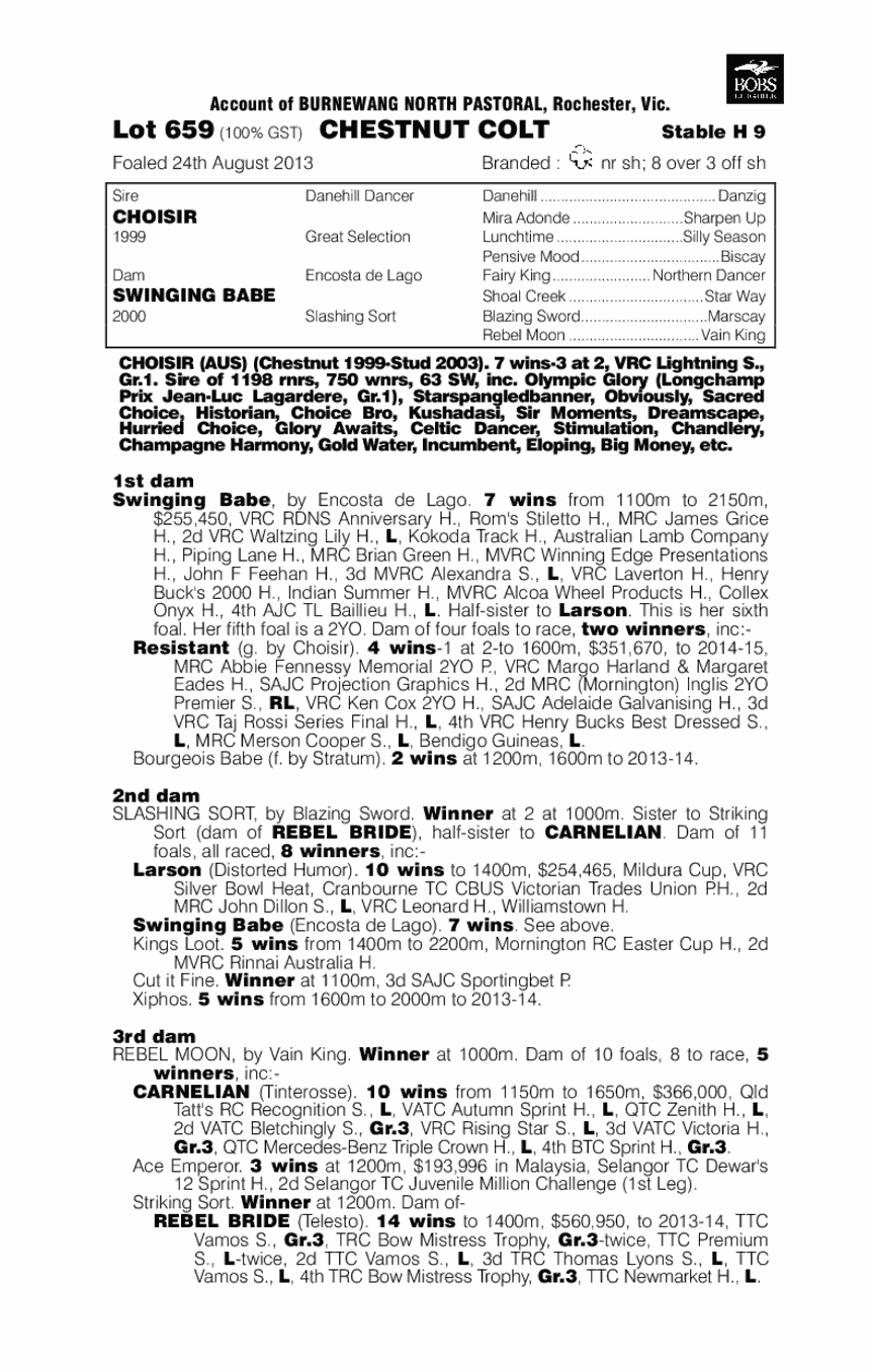 Glamour Boy (AUS) - pedigree