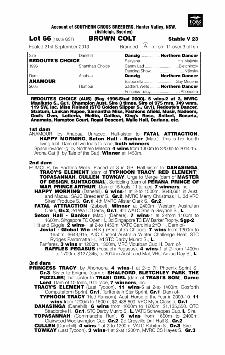 Redoute's Choice (AUS) / Anamour (AUS) - pedigree