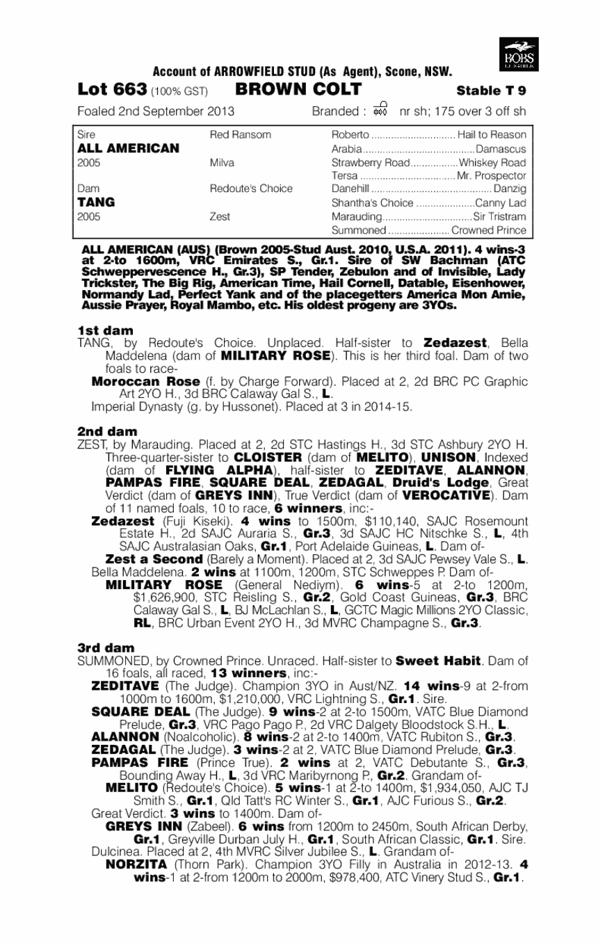 Chicago Nights (AUS) - pedigree