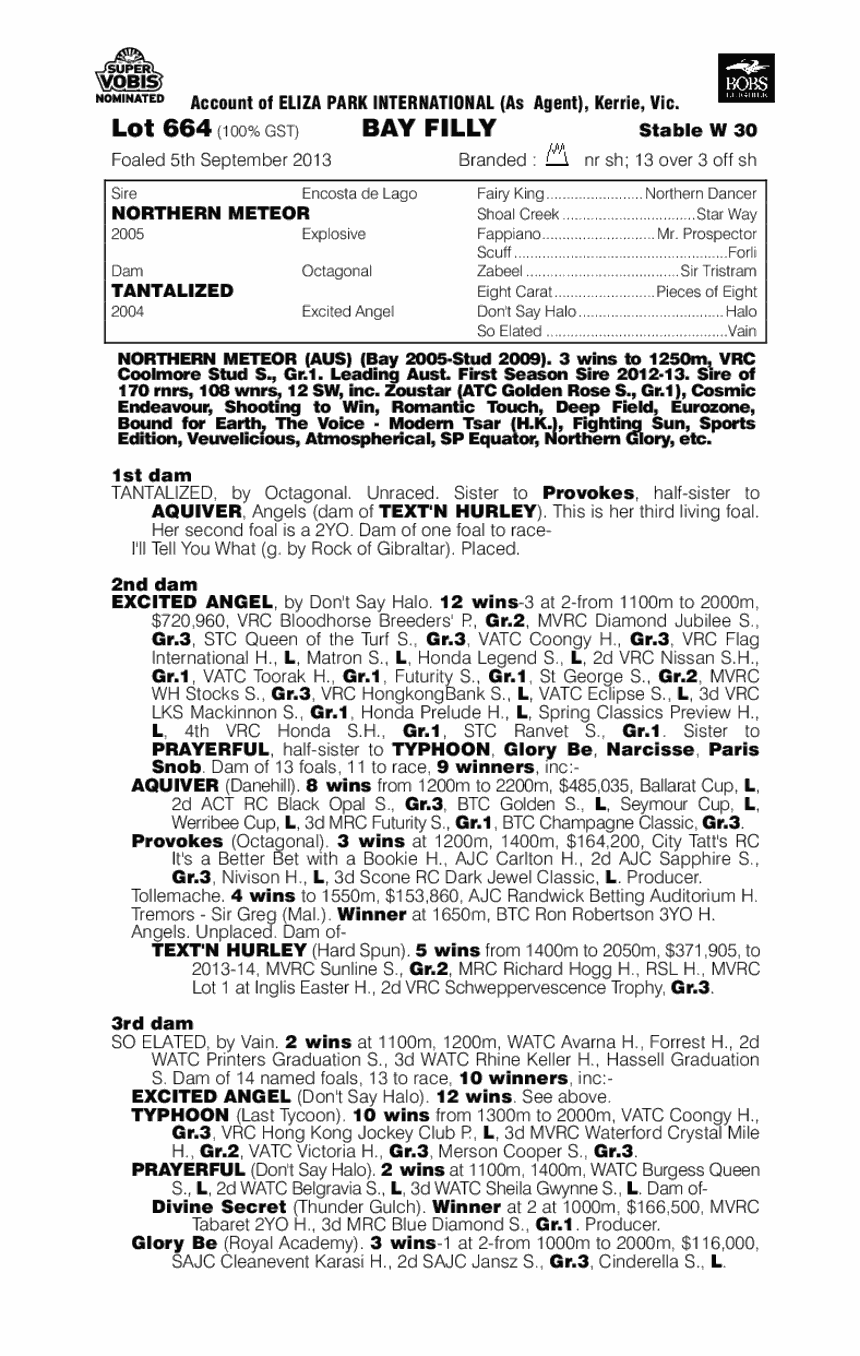 Ocean Diamond (AUS) - pedigree