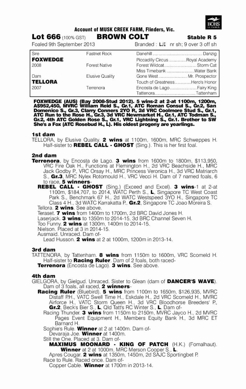 I Am The Fox (AUS) - pedigree