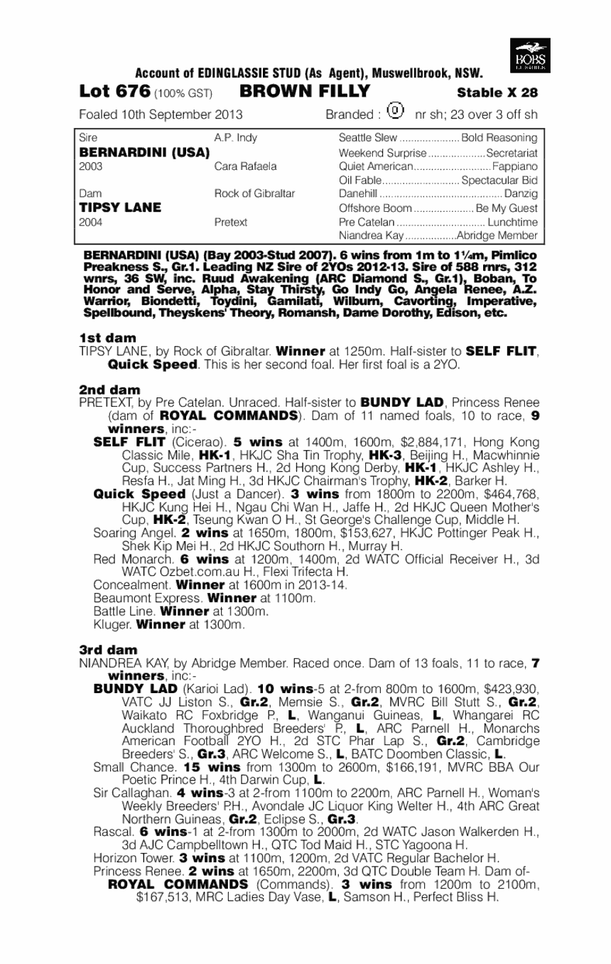 Bernardini (USA) / Tipsy Lane (AUS) - pedigree