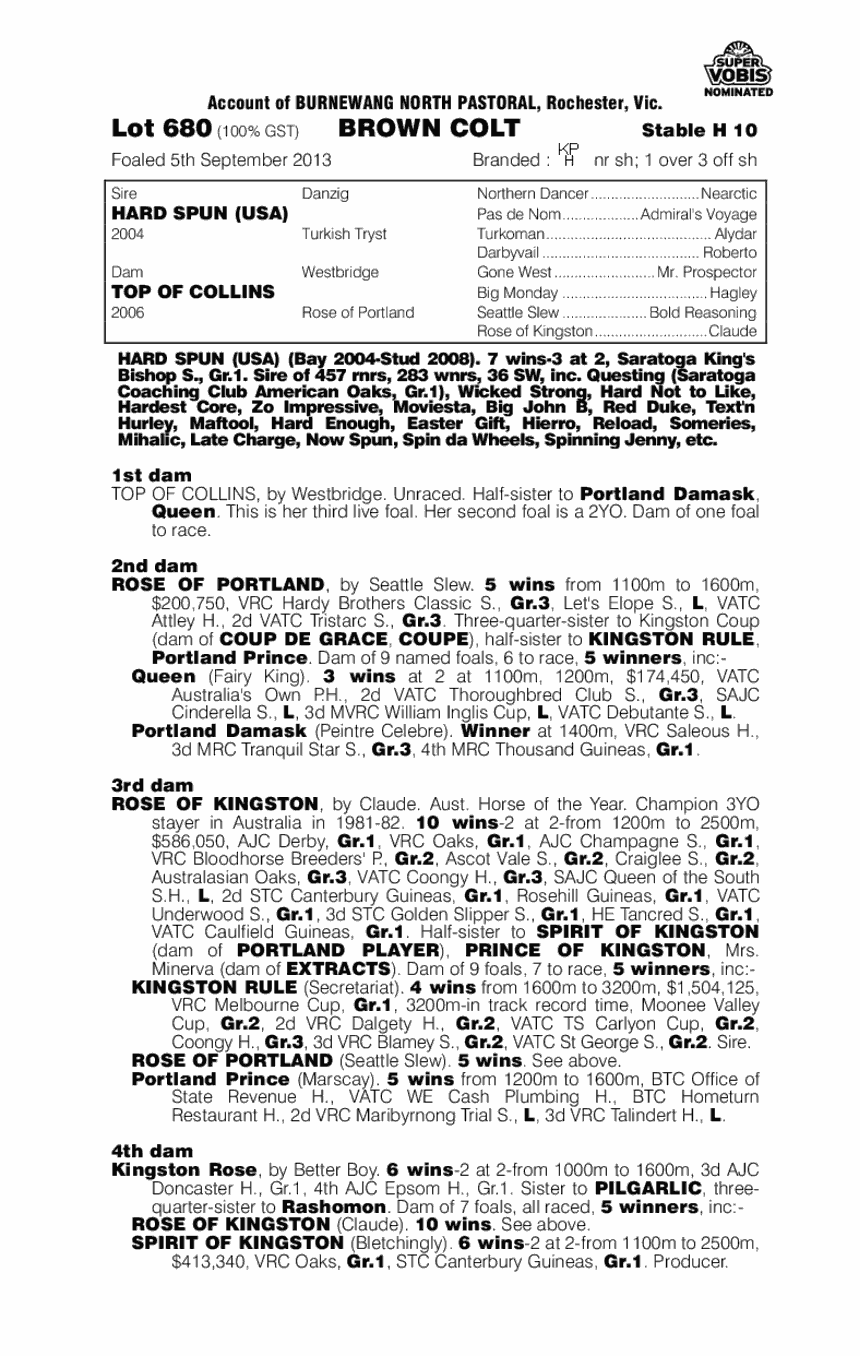 Spinning Hard (AUS) - pedigree