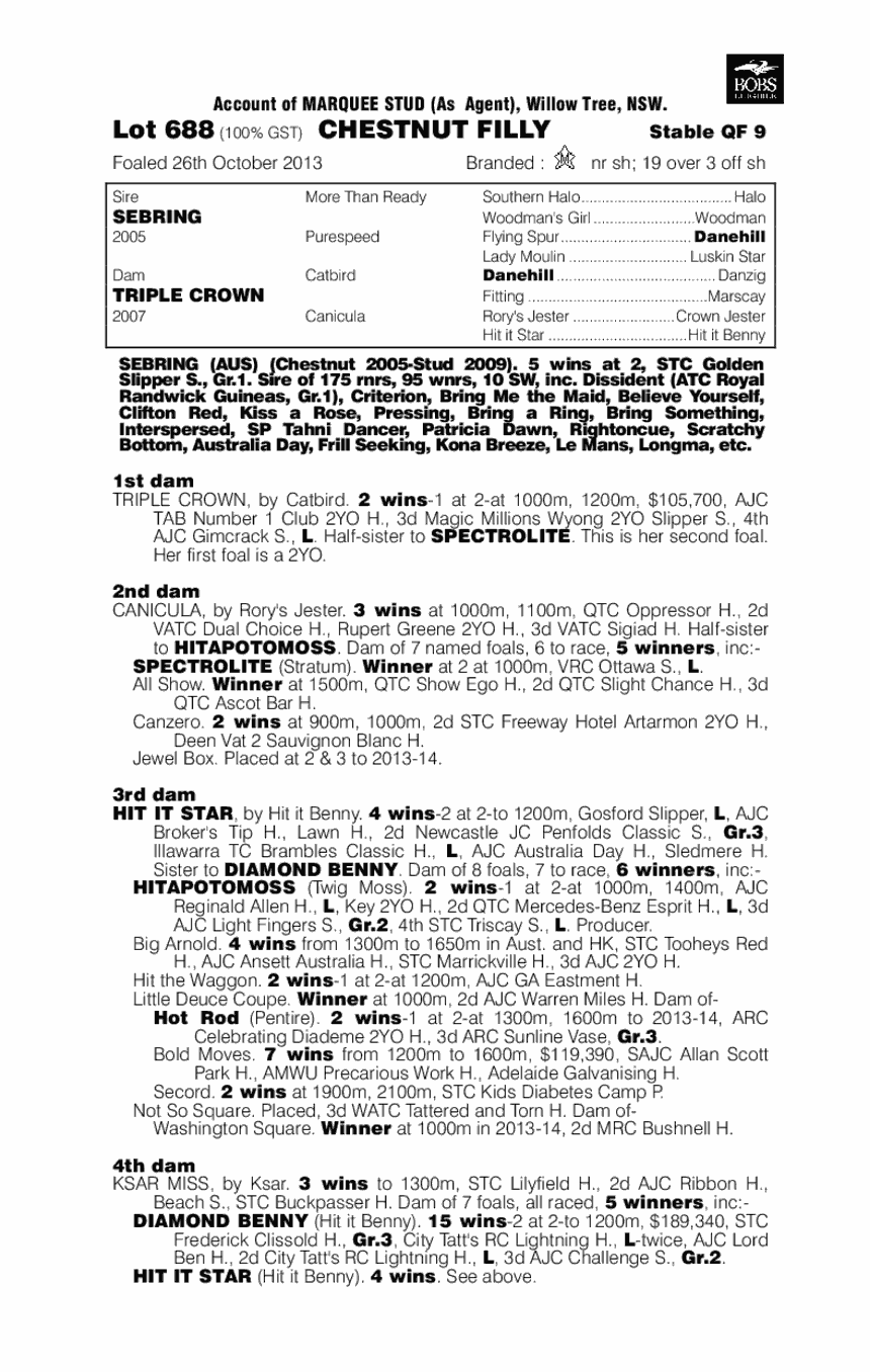 Kenzie (AUS) - pedigree