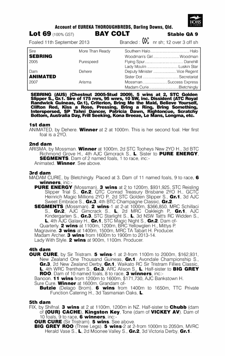 Congressional (AUS) - pedigree