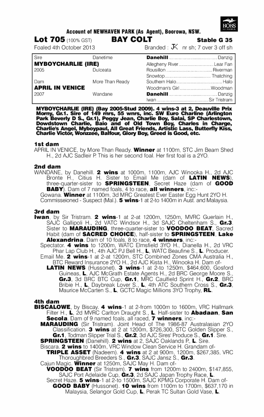 Devonport (AUS) - pedigree