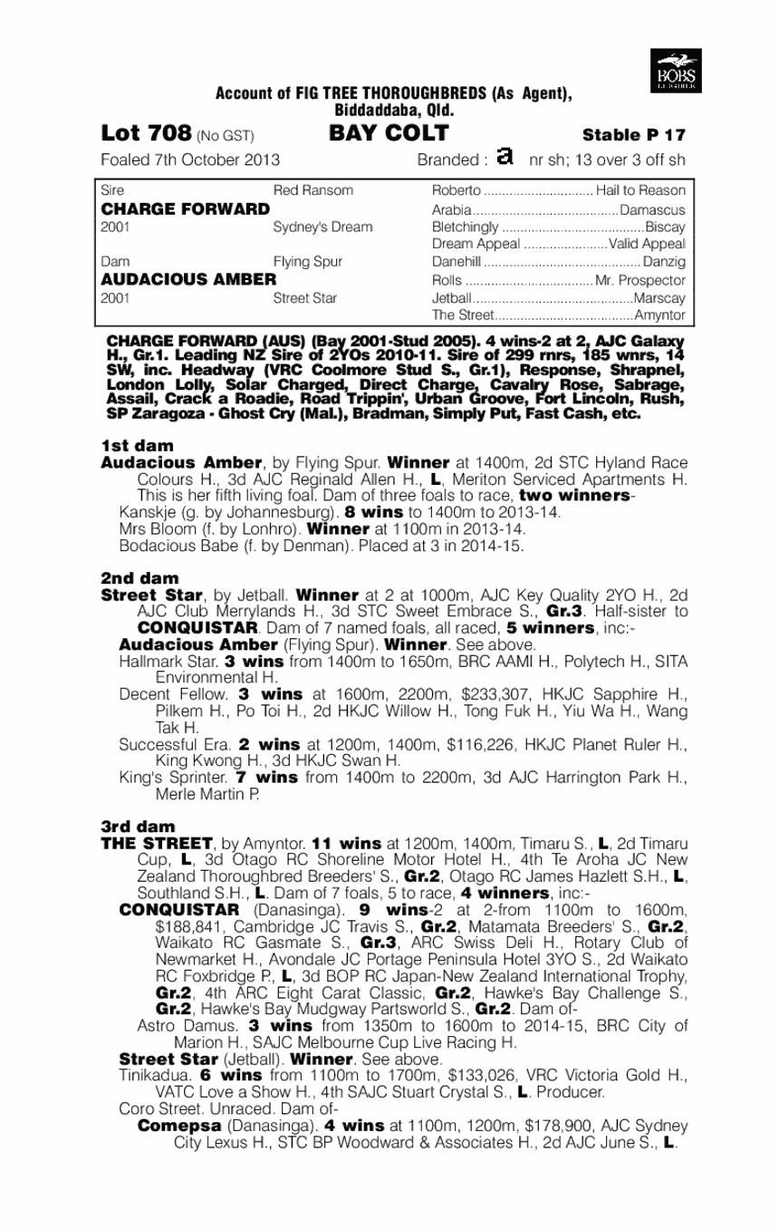 Charge Forward (AUS) / Audacious Amber (AUS) - pedigree