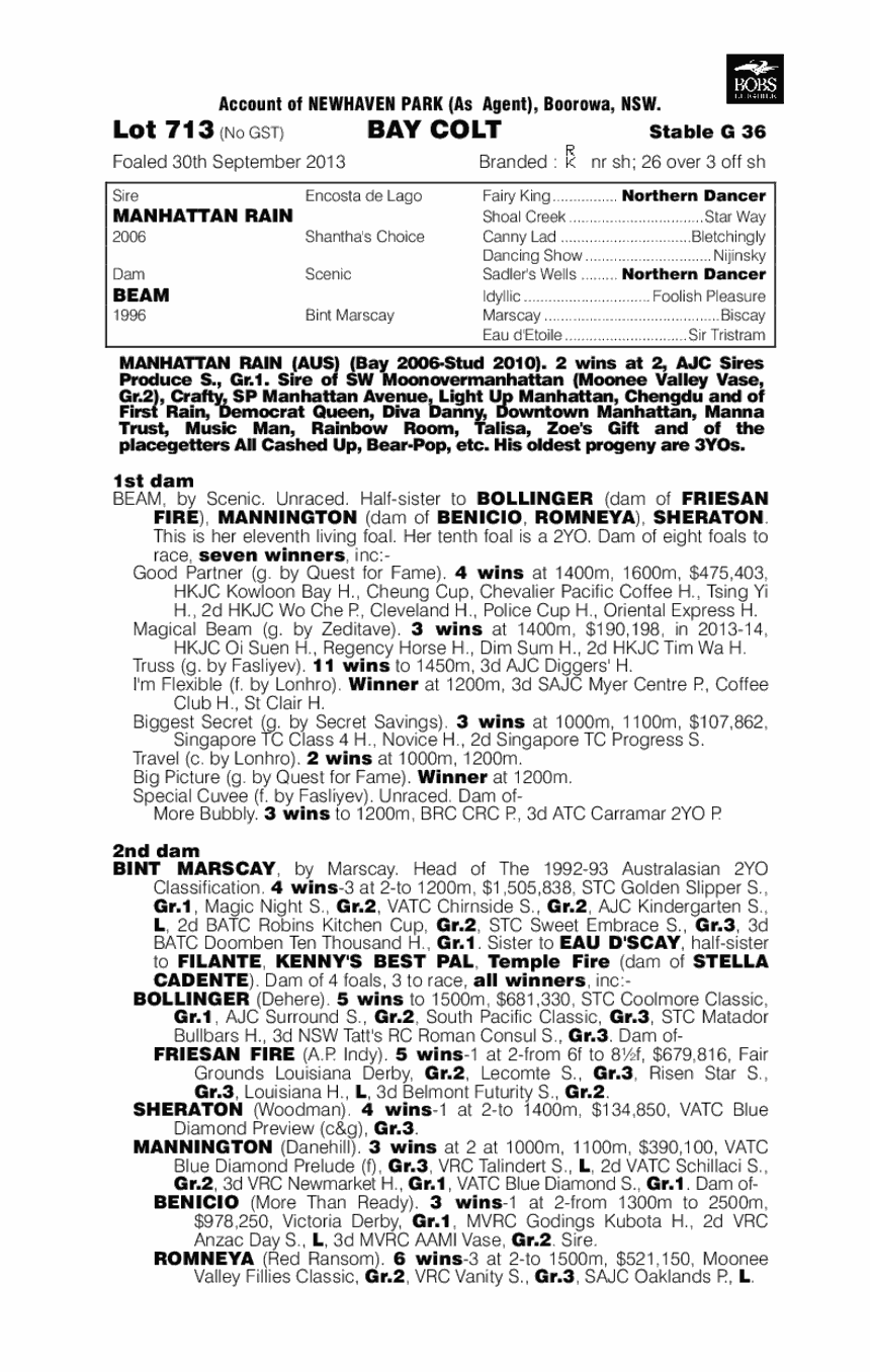 Hanover Square (AUS) - pedigree