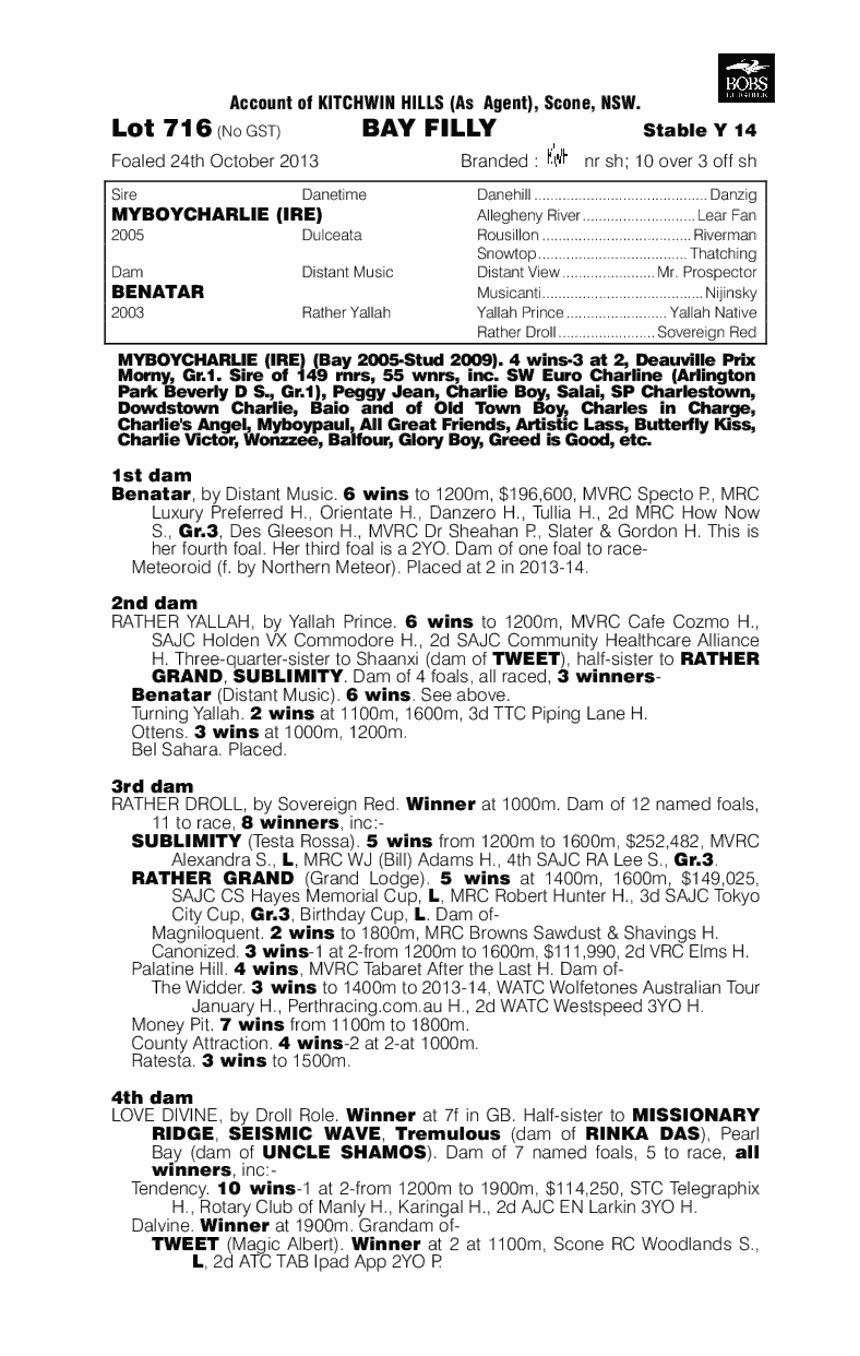 Champagne Charlee (AUS) - pedigree