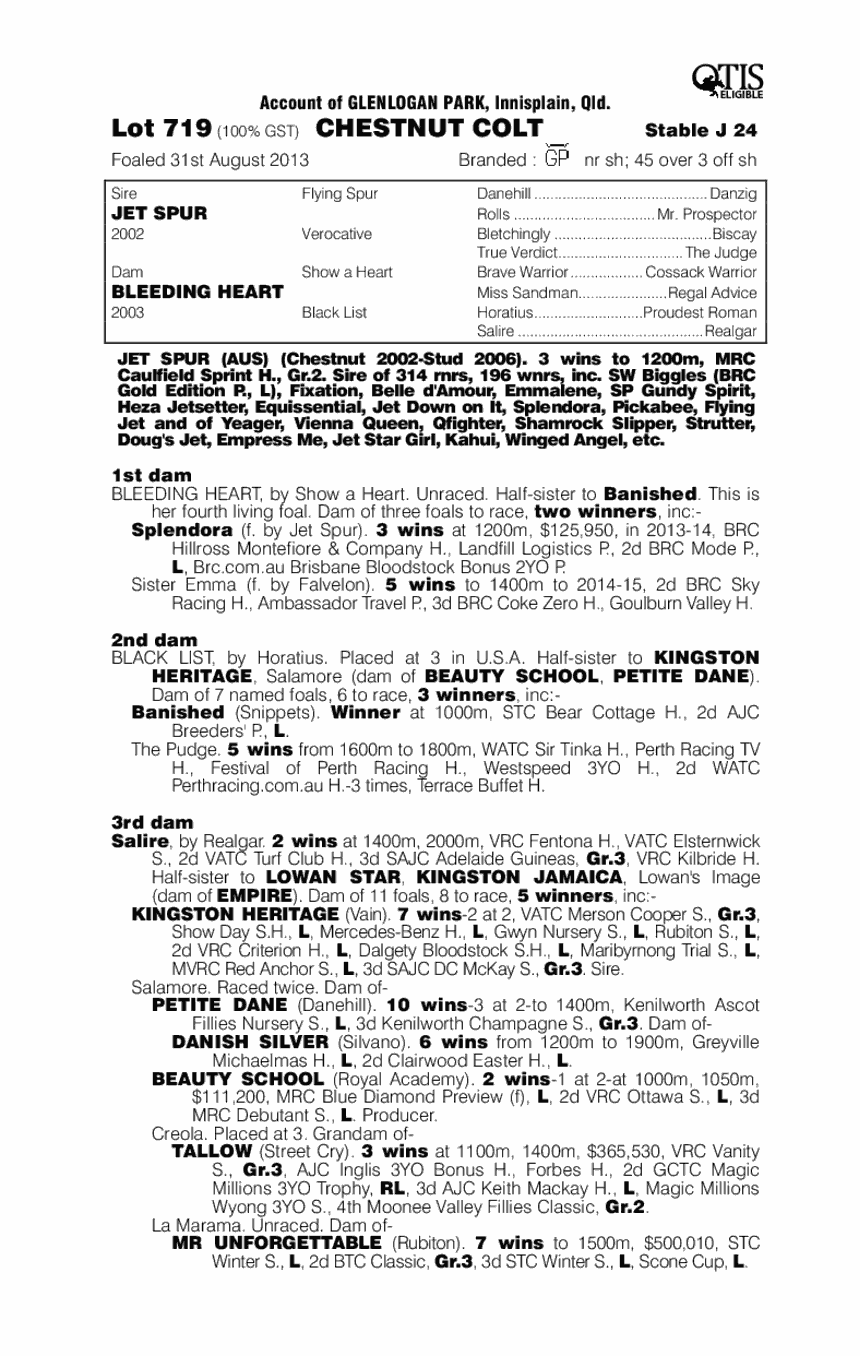 Yeppoon (AUS) - pedigree