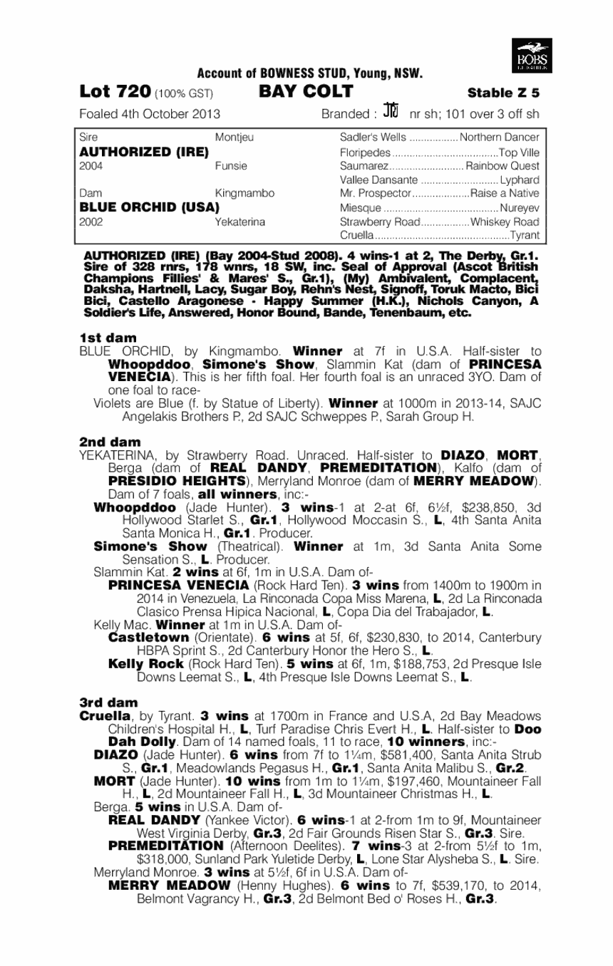 Authorized (IRE) / Blue Orchid (USA) - pedigree