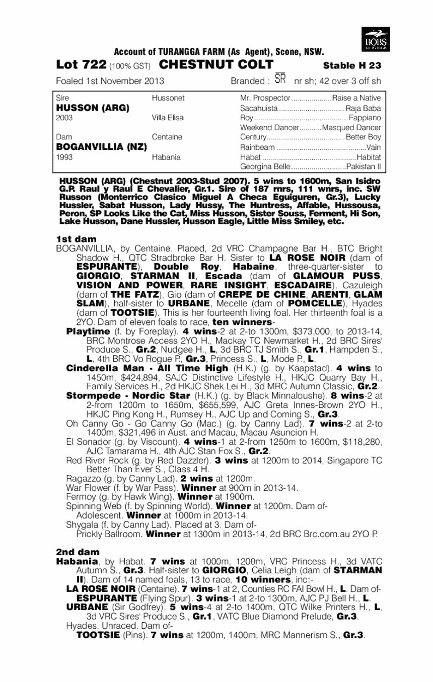 Husson (ARG) / Boganvillia (NZ) - pedigree