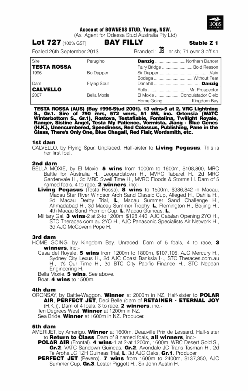 Margo Maree (AUS) - pedigree