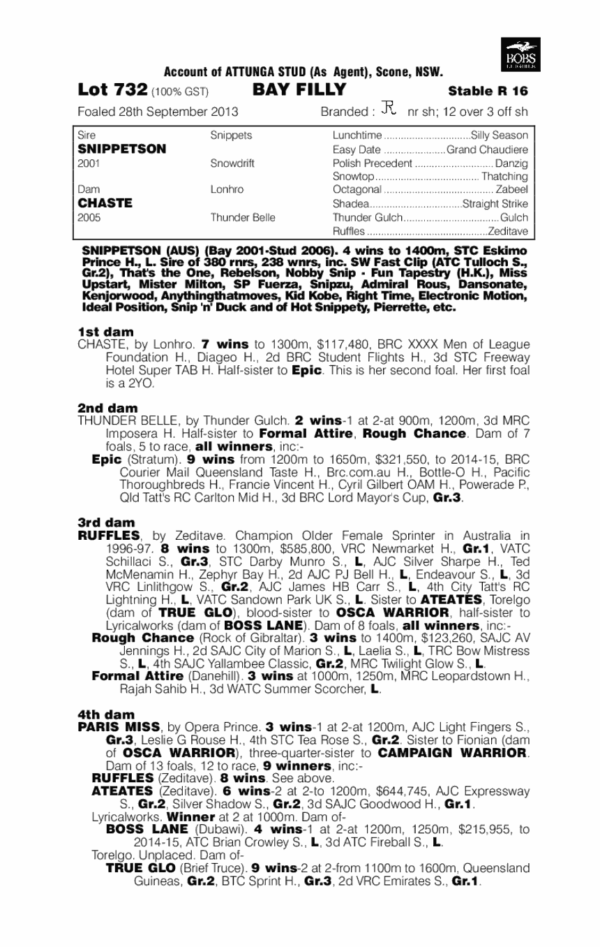 Desirable Miss (AUS) - pedigree