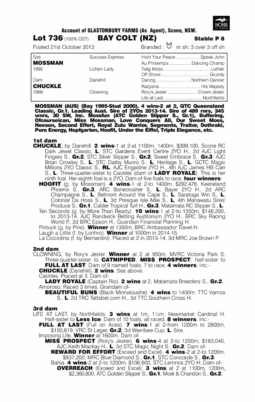 Crack Me Up (NZ) - pedigree