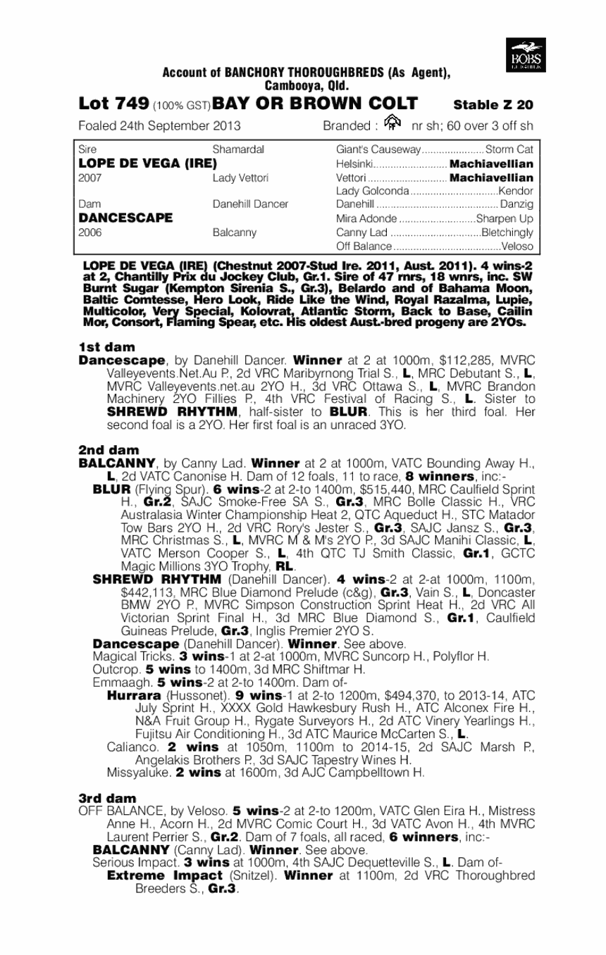 Ocean City (AUS) - pedigree