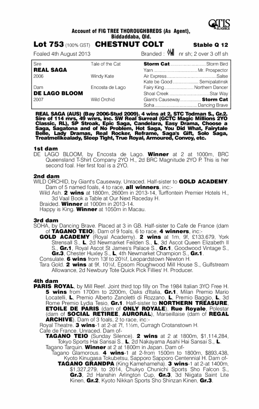 Bloomerang (AUS) - pedigree