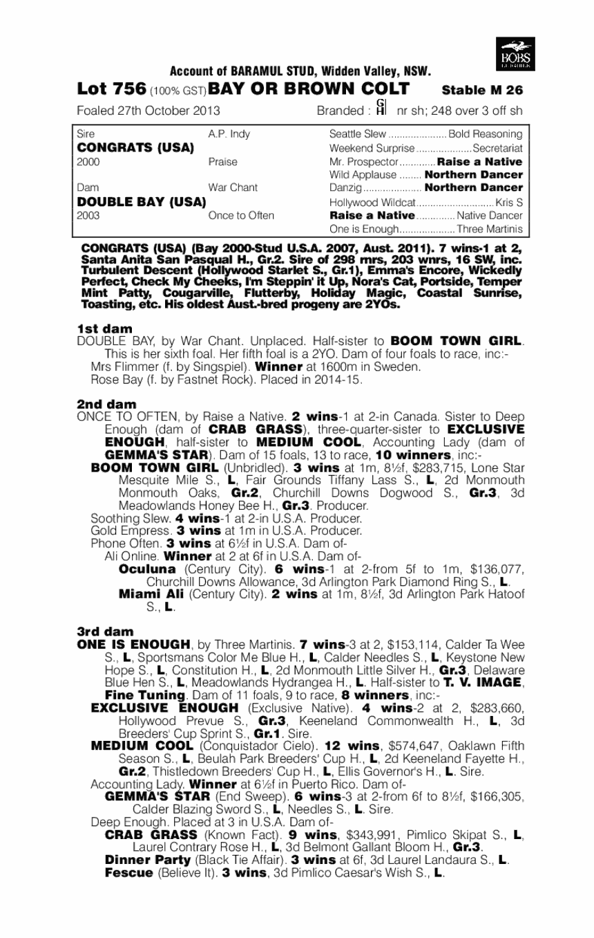 Congrats (USA) / Double Bay (USA) - pedigree