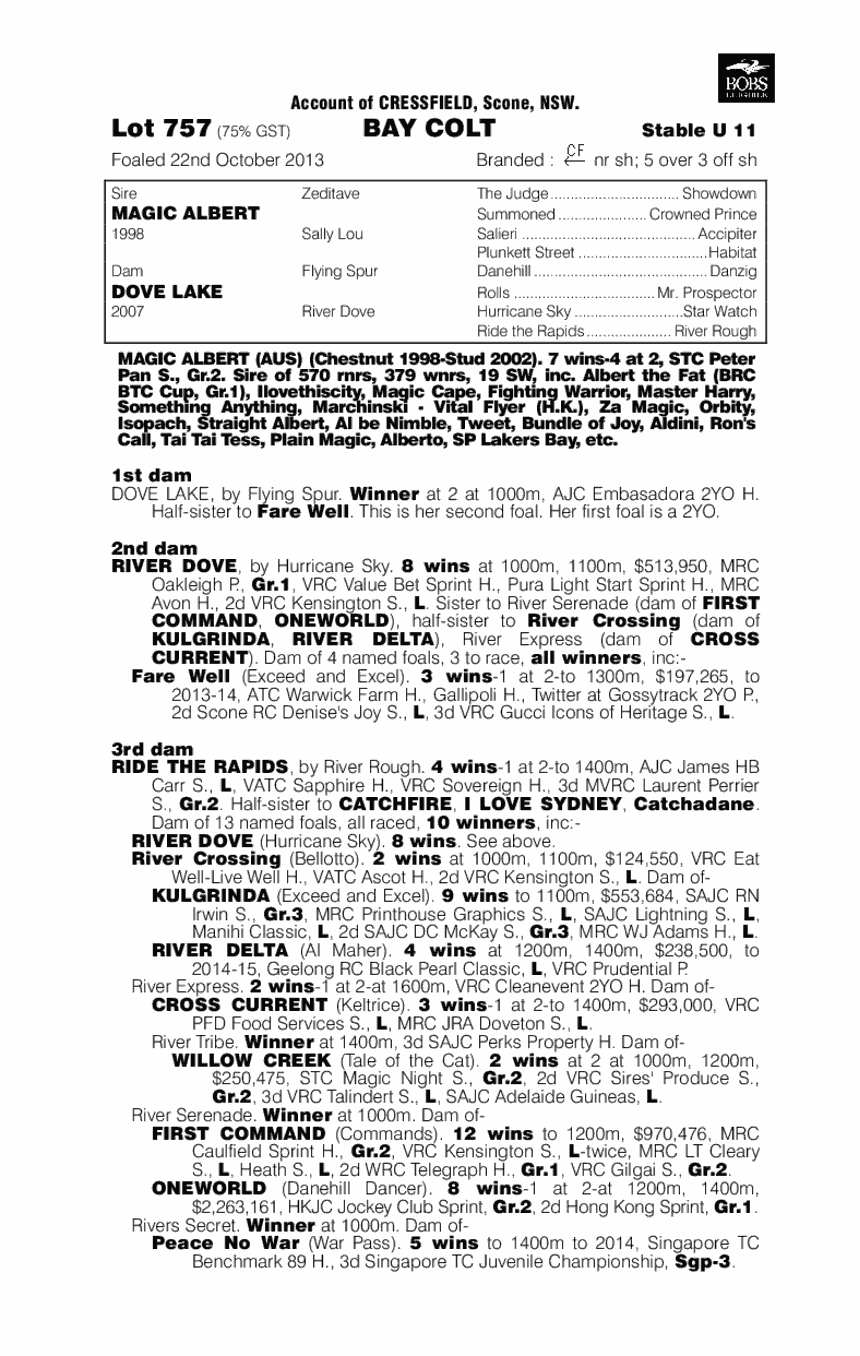 Noosafy (AUS) - pedigree