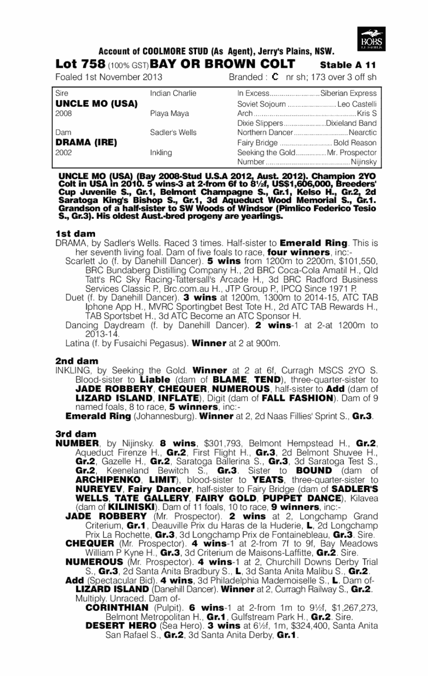 Uncle Mo (USA) / Drama (IRE) - pedigree