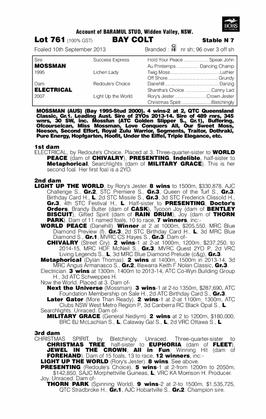 Mossman (AUS) / Electrical (AUS) - pedigree