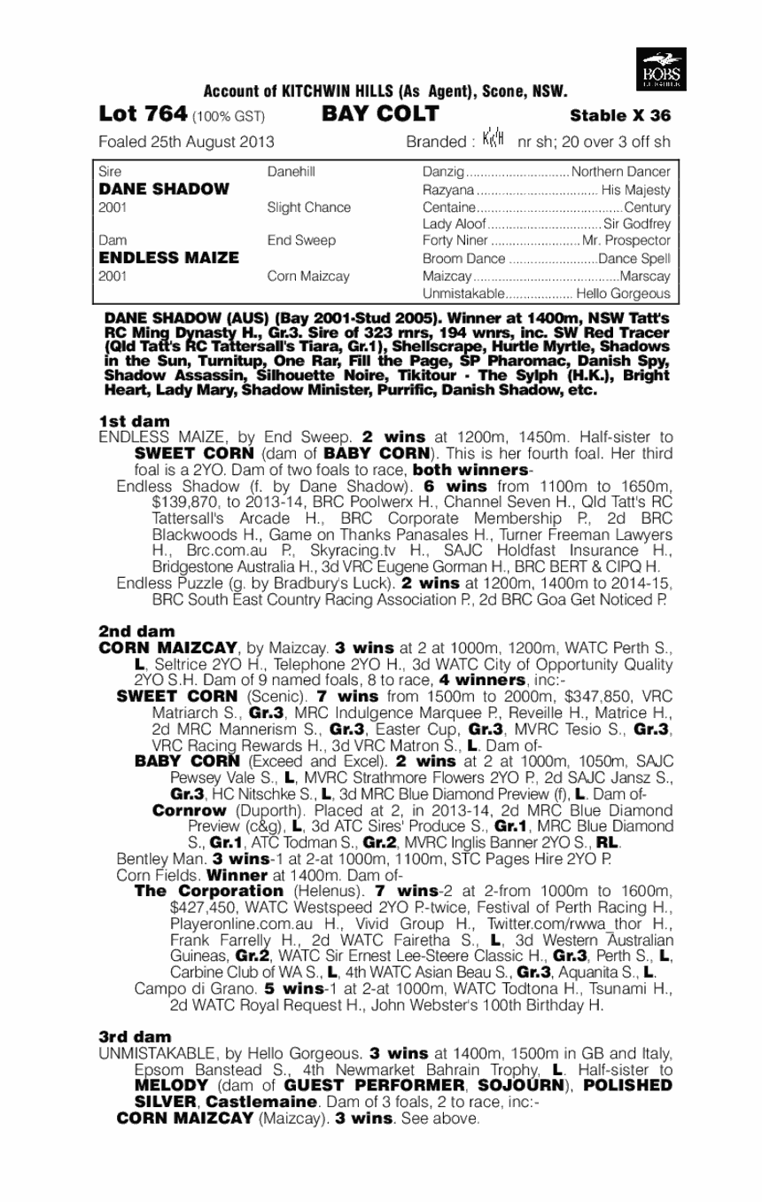 Endless Days (AUS) - pedigree