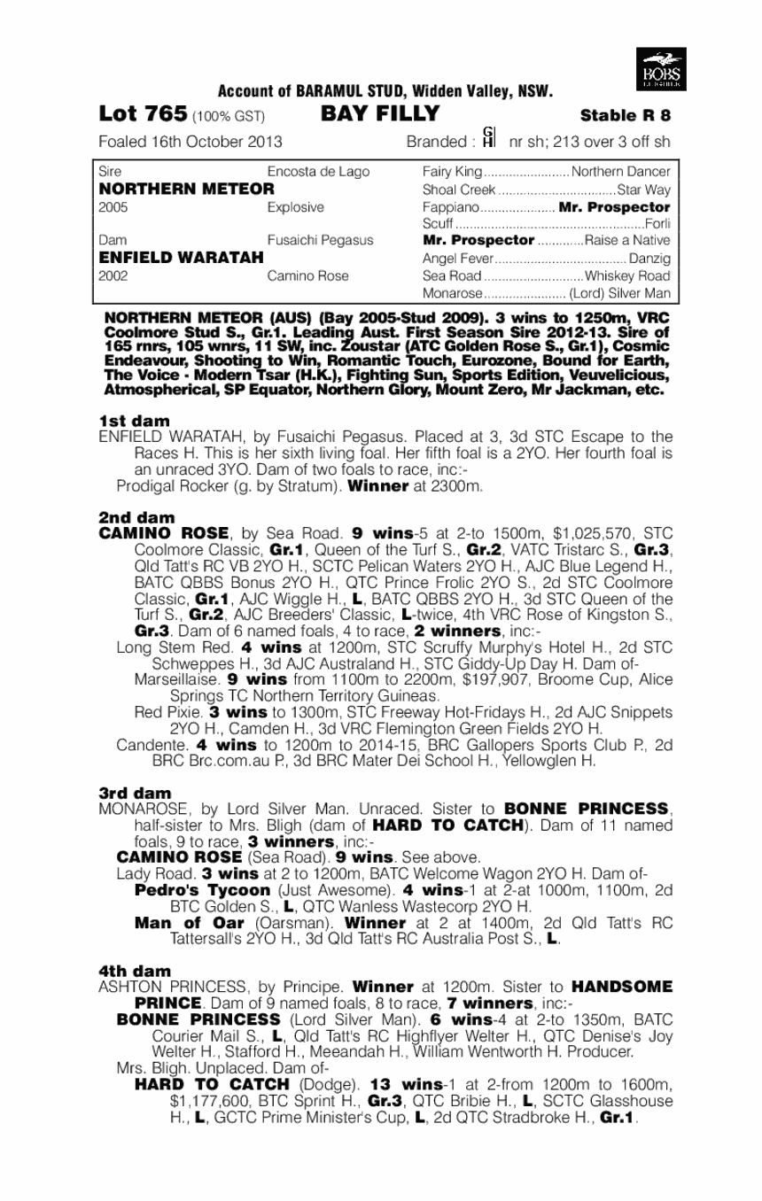 Northern Meteor (AUS) / Enfield Waratah (AUS) - pedigree